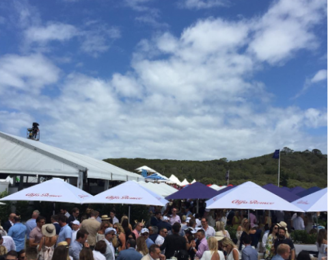 Cafe series printed umbrellas at the Portsea Polo